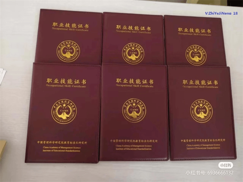 荣誉证书图标